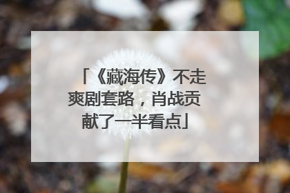 《藏海传》不走爽剧套路，肖战贡献了一半看点