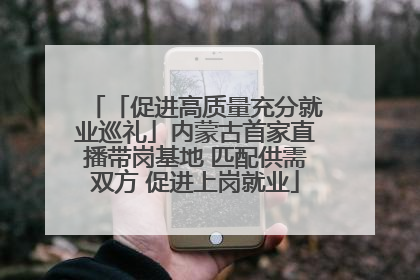 「促进高质量充分就业巡礼」内蒙古首家直播带岗基地 匹配供需双方 促进上岗就业
