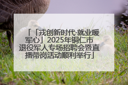 「戎创新时代·就业暖军心」2025年铜仁市退役军人专场招聘会暨直播带岗活动顺利举行