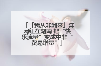 「我从非洲来」洋网红在湖南 把“快乐流量”变成中非“贸易增量”