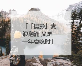 「摄影」麦浪翻涌 又是一年夏收时