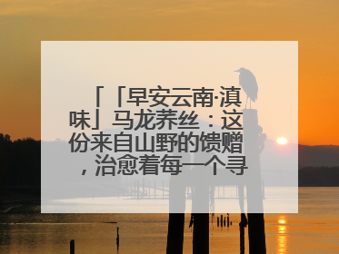 「早安云南·滇味」马龙荞丝：这份来自山野的馈赠，治愈着每一个寻味的游人