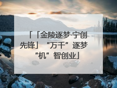 「金陵逐梦·宁创先锋」“万千”逐梦 “机”智创业