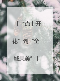 “点上开花”到“全域共美”