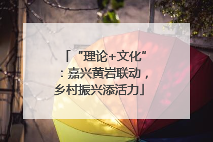 “理论+文化”：嘉兴黄岩联动，乡村振兴添活力