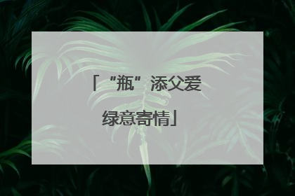 “瓶”添父爱 绿意寄情
