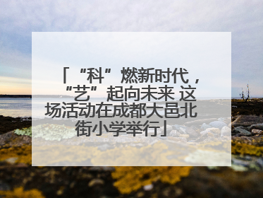 “科”燃新时代，“艺”起向未来 这场活动在成都大邑北街小学举行