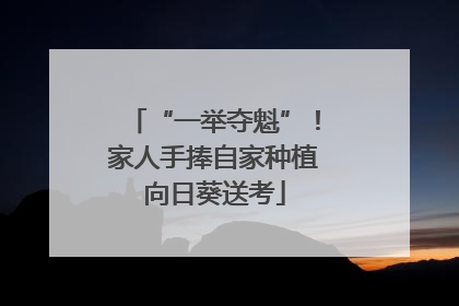 “一举夺魁”！家人手捧自家种植向日葵送考