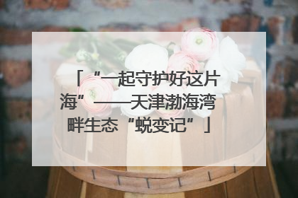 “一起守护好这片海”——天津渤海湾畔生态“蜕变记”