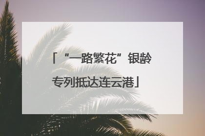 “一路繁花”银龄专列抵达连云港