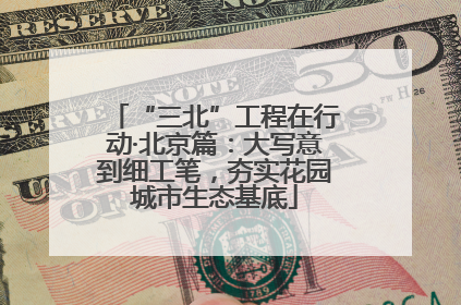 “三北”工程在行动·北京篇：大写意到细工笔，夯实花园城市生态基底