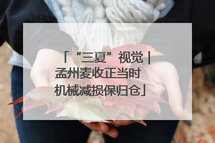 “三夏”视觉｜孟州麦收正当时 机械减损保归仓