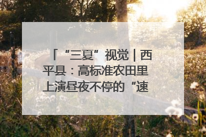 “三夏”视觉｜西平县：高标准农田里上演昼夜不停的“速度与激情”