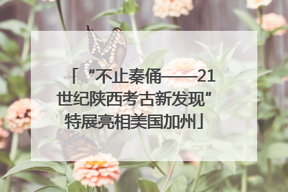 “不止秦俑——21世纪陕西考古新发现”特展亮相美国加州