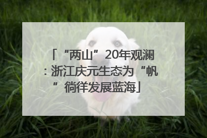 “两山”20年观澜：浙江庆元生态为“帆”徜徉发展蓝海