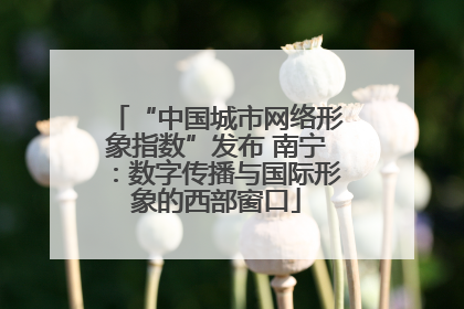 “中国城市网络形象指数”发布 南宁：数字传播与国际形象的西部窗口