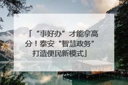 “事好办”才能拿高分!泰安“智慧政务”打造便民新模式