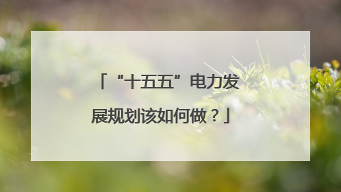 “十五五”电力发展规划该如何做？