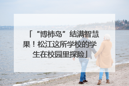 “博柿岛”结满智慧果！松江这所学校的学生在校园里探险