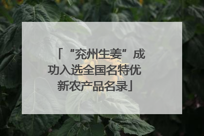 “兖州生姜”成功入选全国名特优新农产品名录