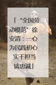 “全国劳动模范”徐安清：一心为民践初心 实干担当铸忠诚