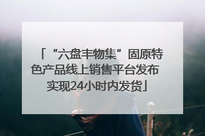 “六盘丰物集”固原特色产品线上销售平台发布 实现24小时内发货