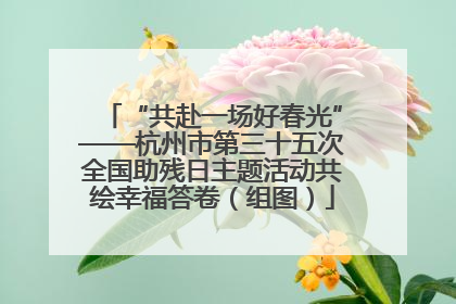 “共赴一场好春光”——杭州市第三十五次全国助残日主题活动共绘幸福答卷（组图）