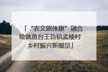 “农文旅体康”融合绘就鱼台王鲁镇孟楼村乡村振兴新图景