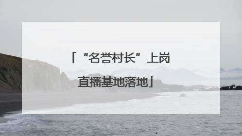 “名誉村长”上岗 直播基地落地