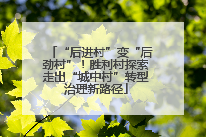 “后进村”变“后劲村”！胜利村探索走出“城中村”转型治理新路径