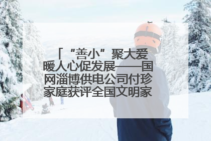“善小”聚大爱 暖人心促发展——国网淄博供电公司付珍家庭获评全国文明家庭背后的文明密码