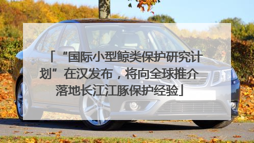 “国际小型鲸类保护研究计划”在汉发布，将向全球推介落地长江江豚保护经验