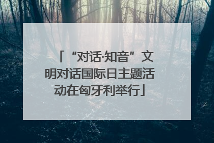 “对话·知音”文明对话国际日主题活动在匈牙利举行