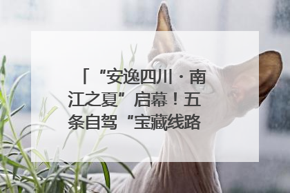 “安逸四川・南江之夏”启幕！五条自驾“宝藏线路”串联避暑胜地