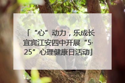 “心”动力，乐成长 宜宾江安四中开展“5·25”心理健康日活动