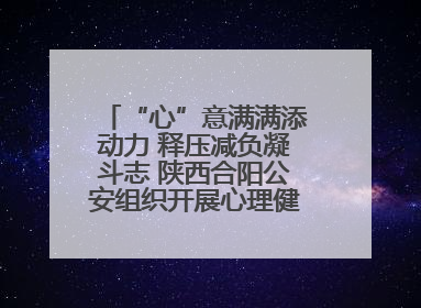 “心”意满满添动力 释压减负凝斗志 陕西合阳公安组织开展心理健康团体辅导活动