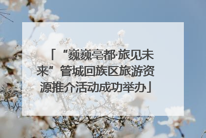 “巍巍亳都·旅见未来”管城回族区旅游资源推介活动成功举办