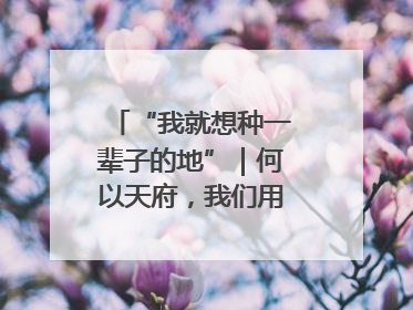 “我就想种一辈子的地”｜何以天府，我们用粮食作答②