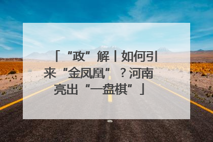 “政”解丨如何引来“金凤凰”？河南亮出“一盘棋”