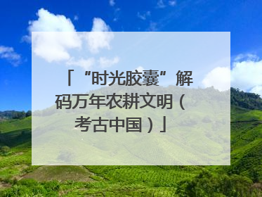 “时光胶囊”解码万年农耕文明（考古中国）