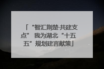 “智汇荆楚·共建支点” 我为湖北“十五五”规划建言献策