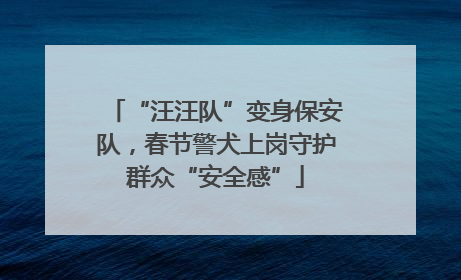 “汪汪队”变身保安队，春节警犬上岗守护群众“安全感”