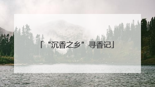 “沉香之乡”寻香记