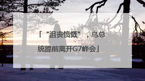 “沮丧愤慨”，乌总统提前离开G7峰会