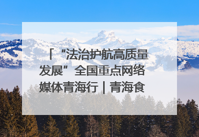“法治护航高质量发展”全国重点网络媒体青海行｜青海食品工业协会：架起“青字号”美食的产业化桥梁