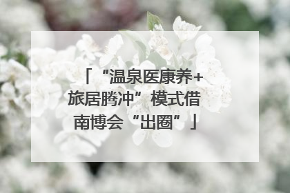 “温泉医康养+旅居腾冲”模式借南博会“出圈”