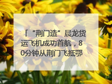 “荆门造”晨龙货运飞机成功首航，80分钟从荆门飞抵鄂州花湖机场