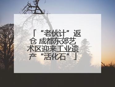 “老伙计”返仓 成都东郊艺术区迎来工业遗产“活化石”