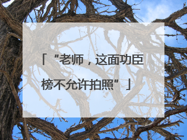 “老师，这面功臣榜不允许拍照”