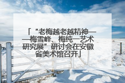 “老梅越老越精神——梅雪峰、梅纯一艺术研究展”研讨会在安徽省美术馆召开